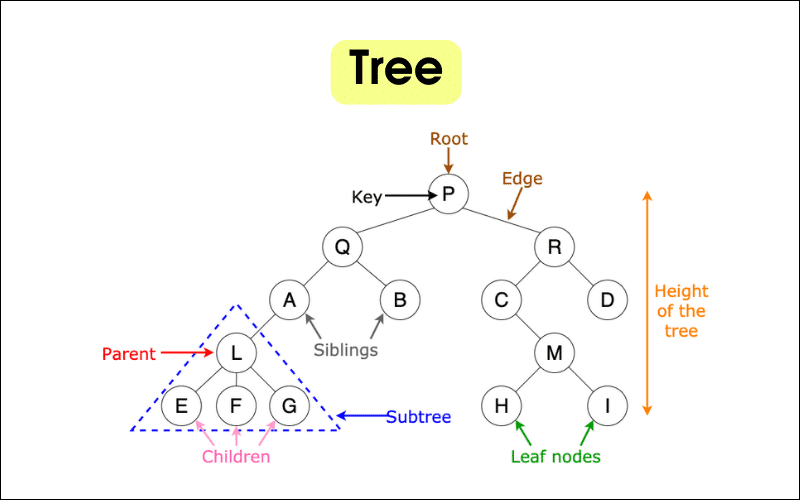 Cấu trúc dữ liệu Tree