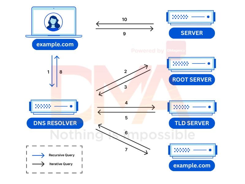 Tra cứu DNS