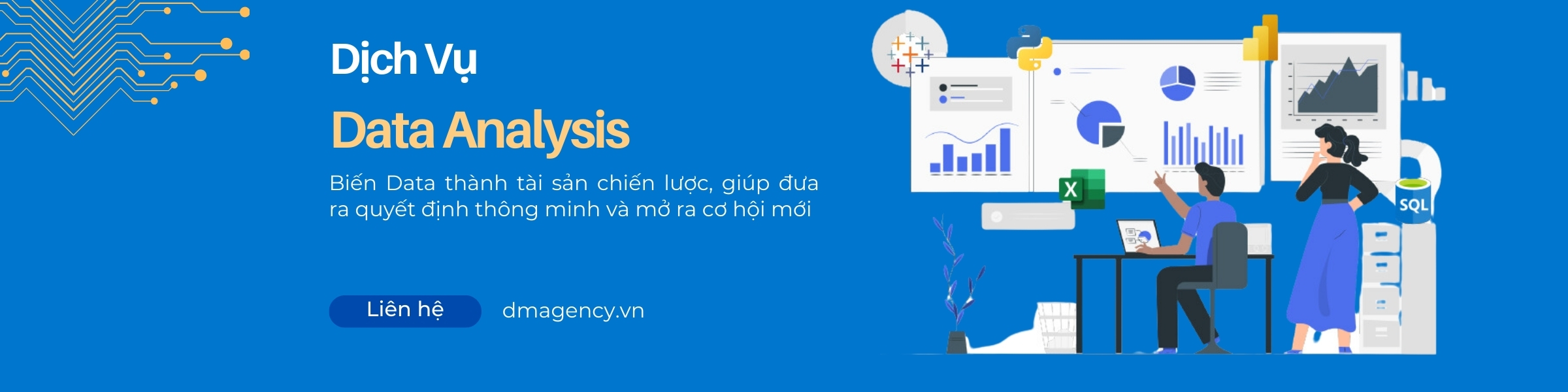 Dịch vụ data analysis